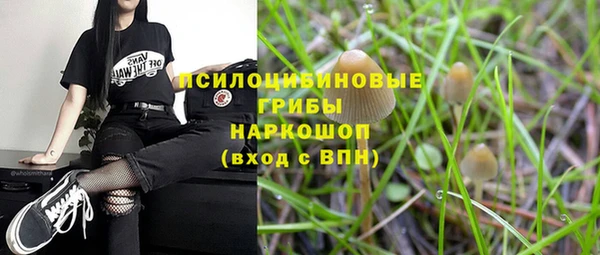 МДПВ Майский